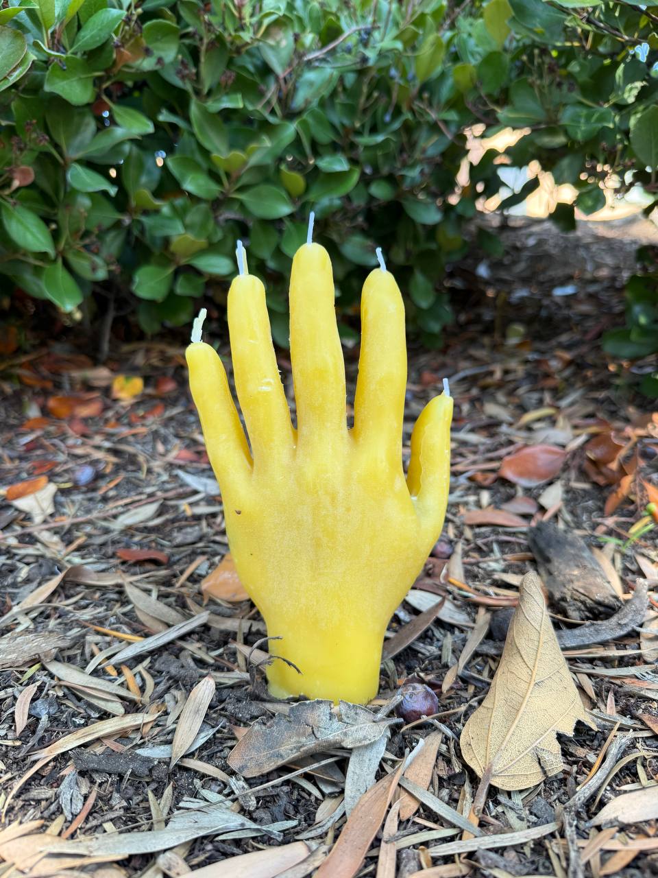 Magical Candle "Dead Hand" Yellow: Intellectual power, success in learning.